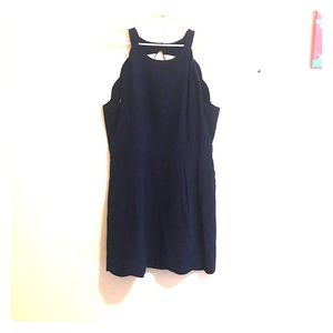 Seersucker Lauren James Dress